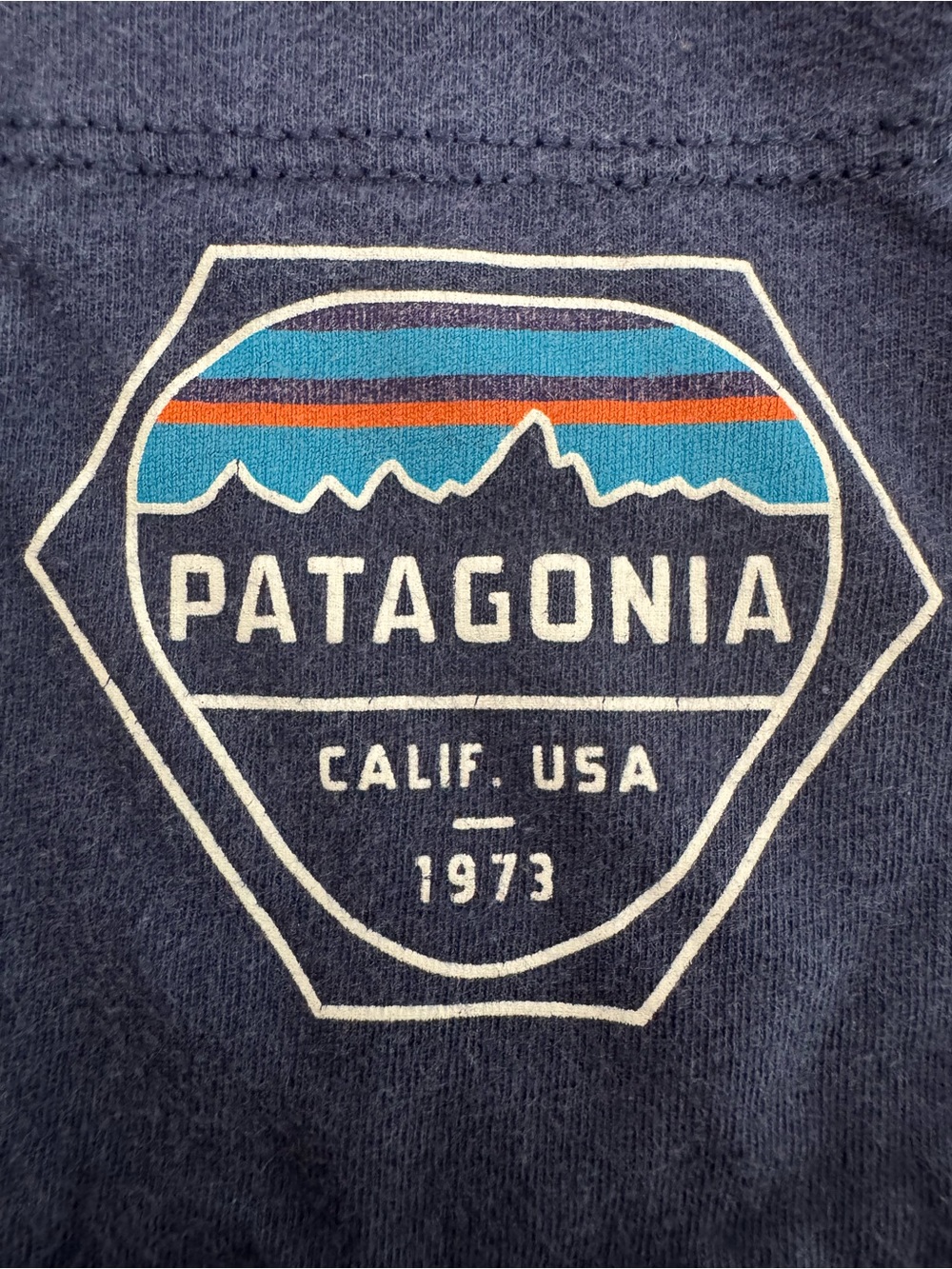 Patagonia Men’s Pocket Graphic T-Shirt Navy Blue Size Large Slim Outterwear